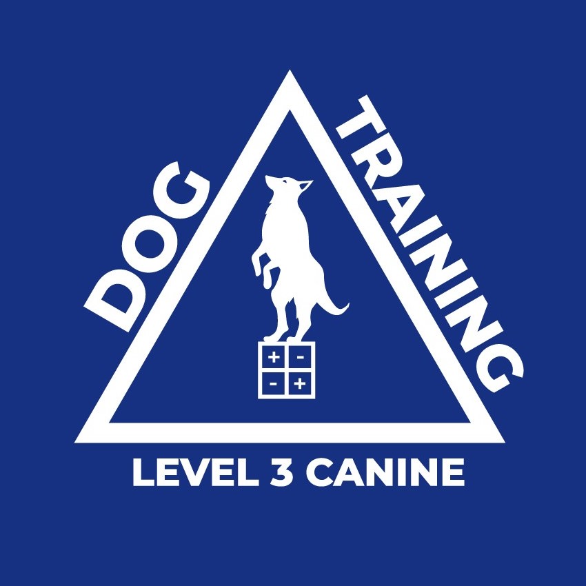 Level 3 Canine