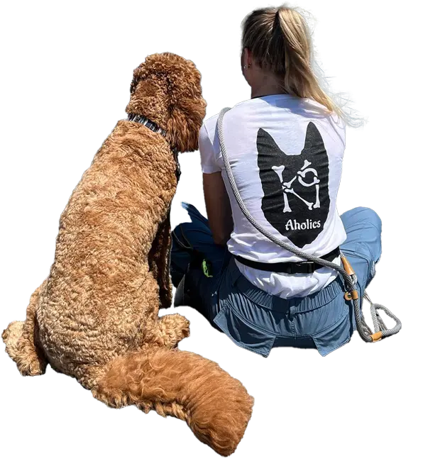 K9Aholics Dog Training