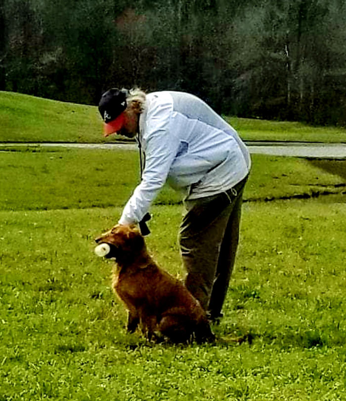 Weller Kennels/Dog Obedience