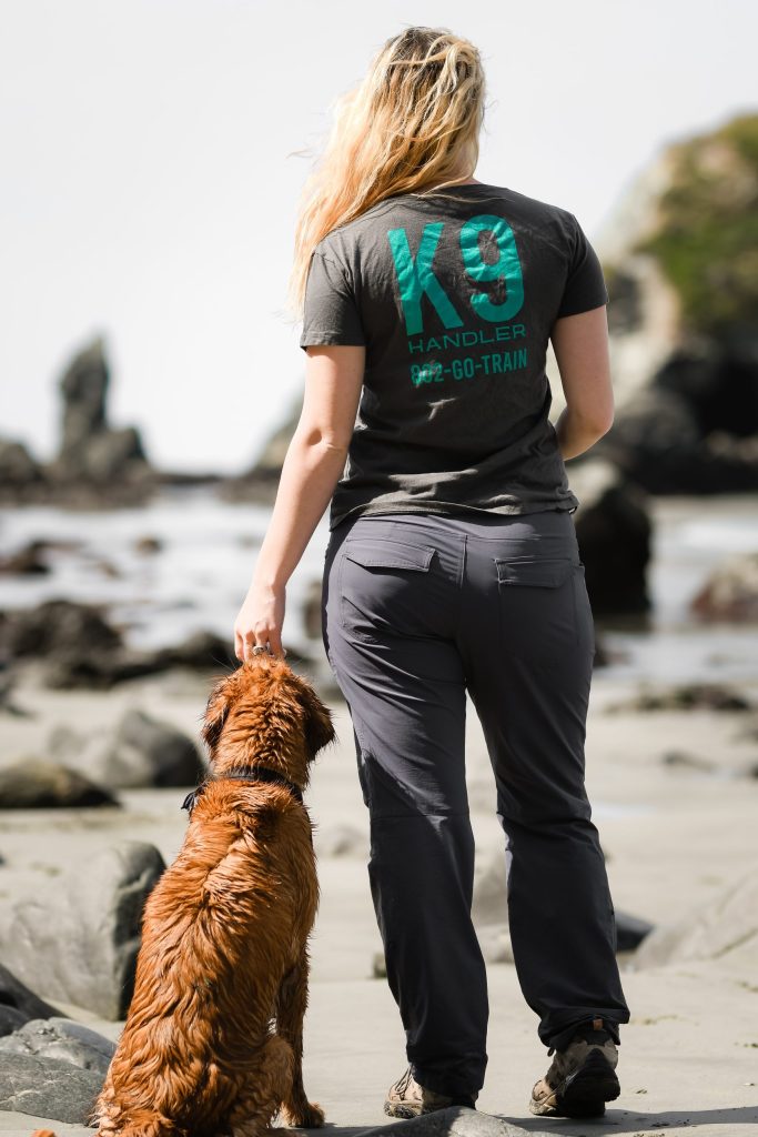 TaylerMade Training — dog trainer in Northwest Arkansas, AR