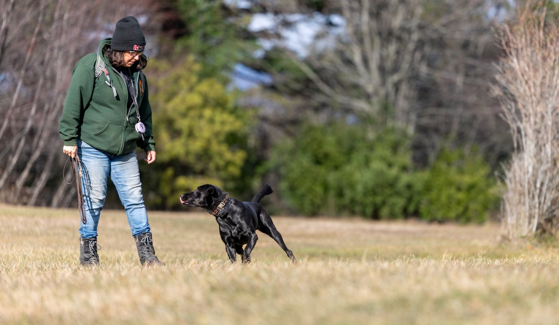 Robin’s Nest Dog Training