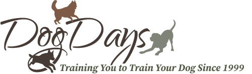 Dog Days Training Center logo