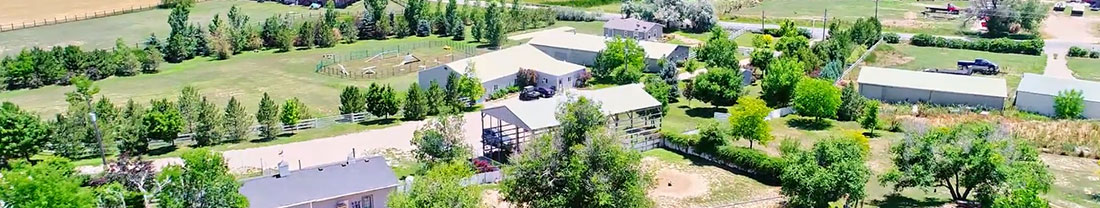 Dog Days Training Center