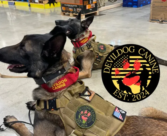 Devildog Canine