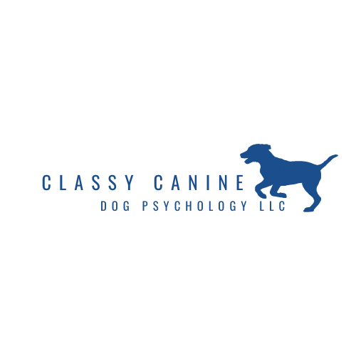 Classy Canine Dog Psychology