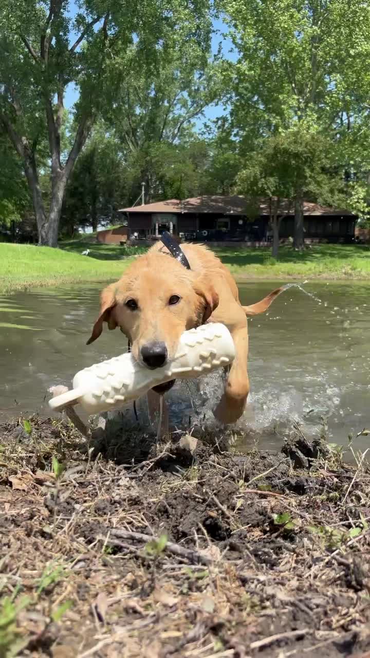 Great Plains Kennels LLC