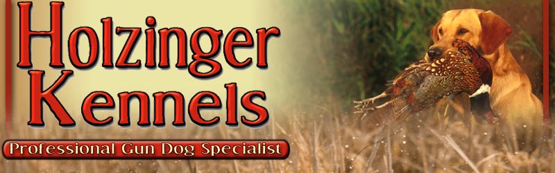 Holzinger Kennels Obedience