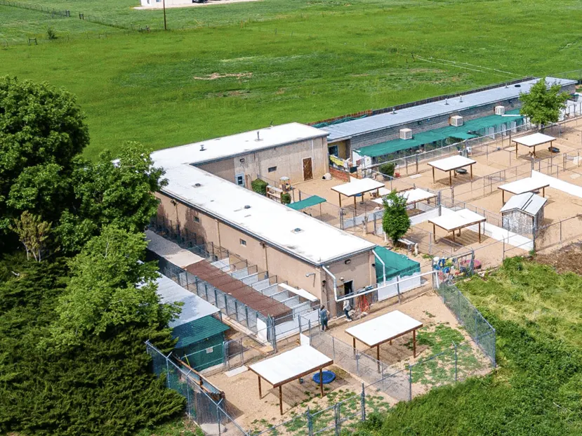 Whispering Pines Pet Resort