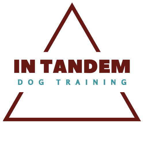 In Tandem Dog Training — dog trainer in the Quad Cities, IL
