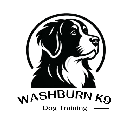 Washburn K9 logo