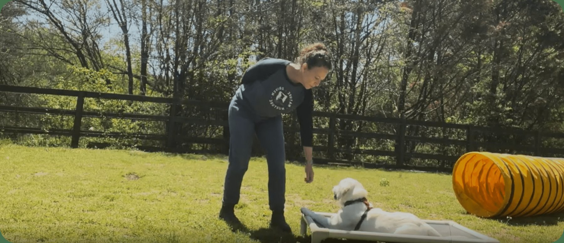 Nashville Puppy Academy