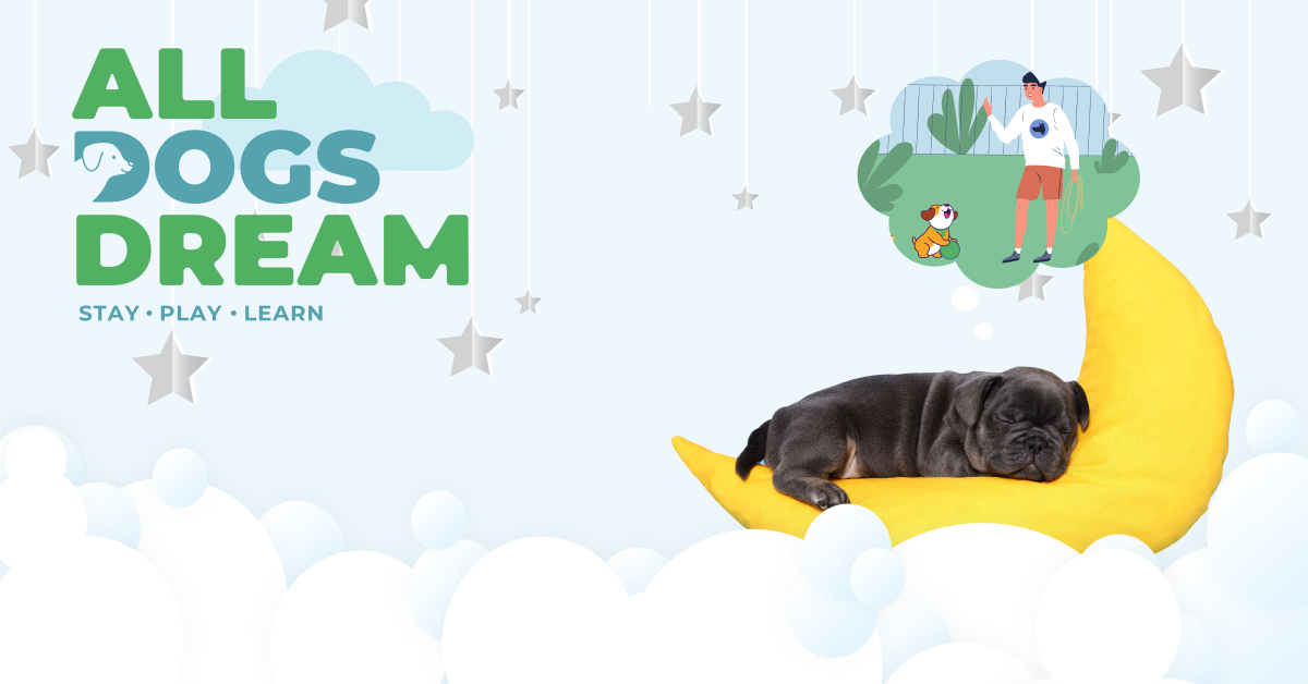 All Dogs Dream logo