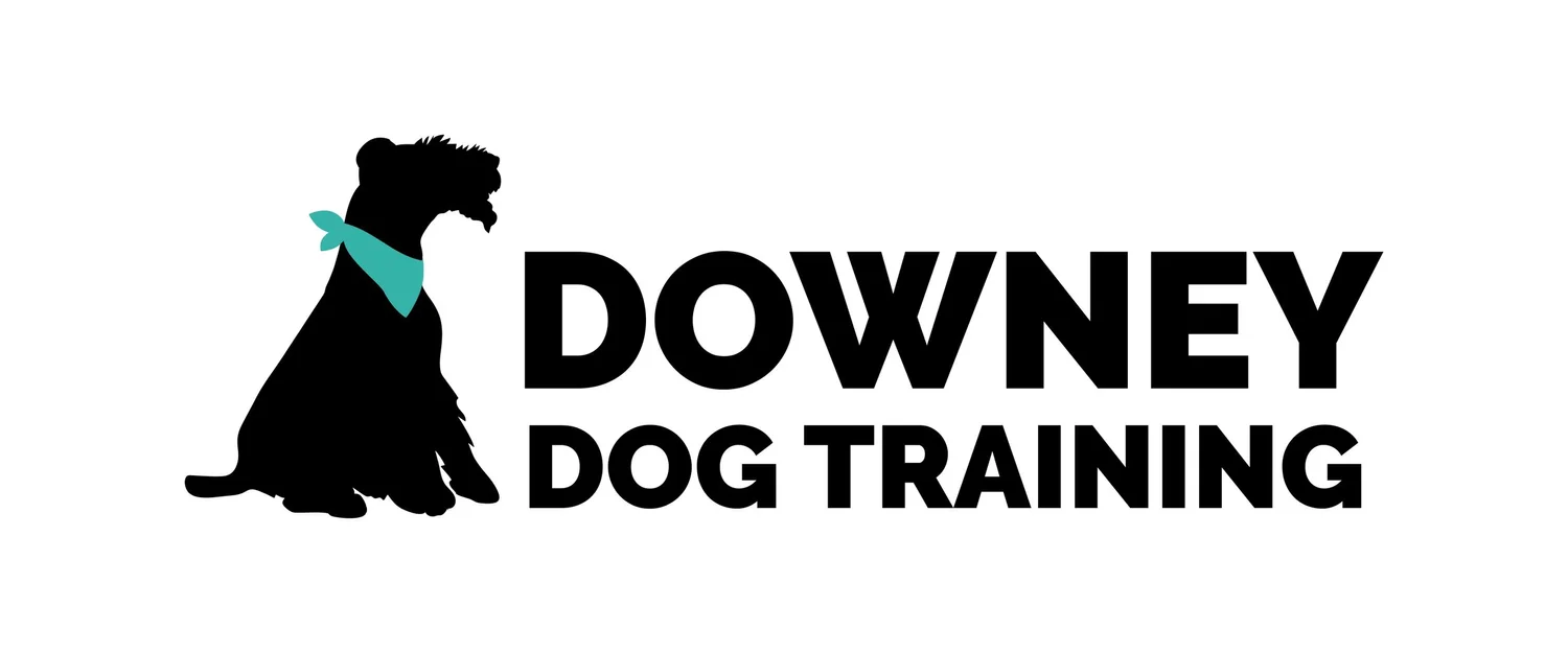 Downey Dog Training logo