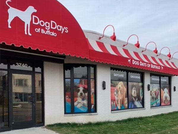 Dog Days of Buffalo – Harlem Road