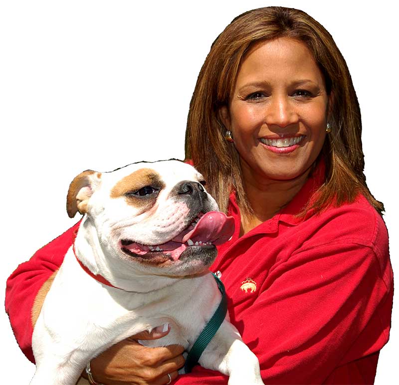 Joanne the Dog Trainer