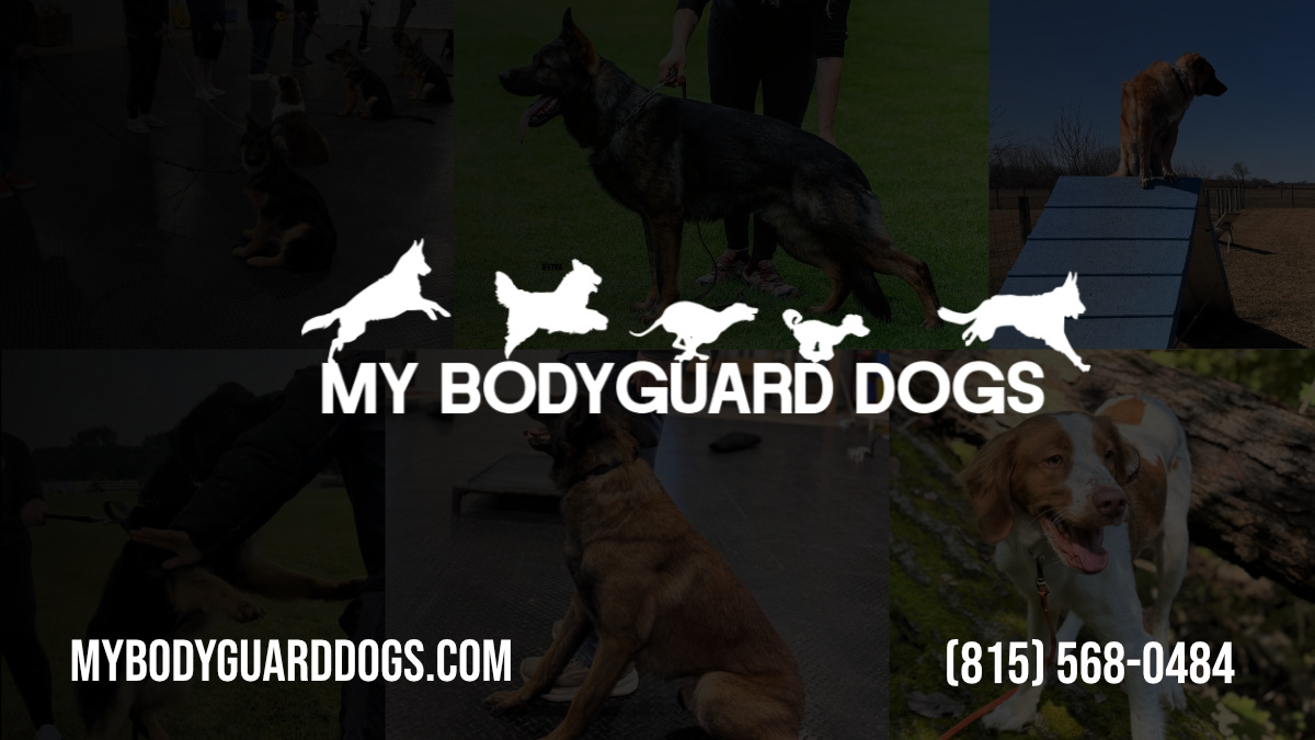 My BodyGuard German Shepherds logo