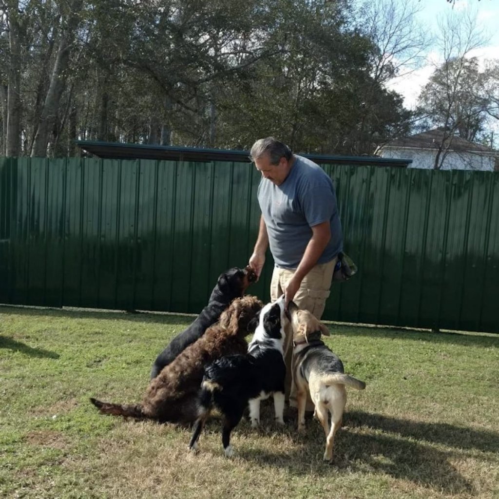 Real Life K9