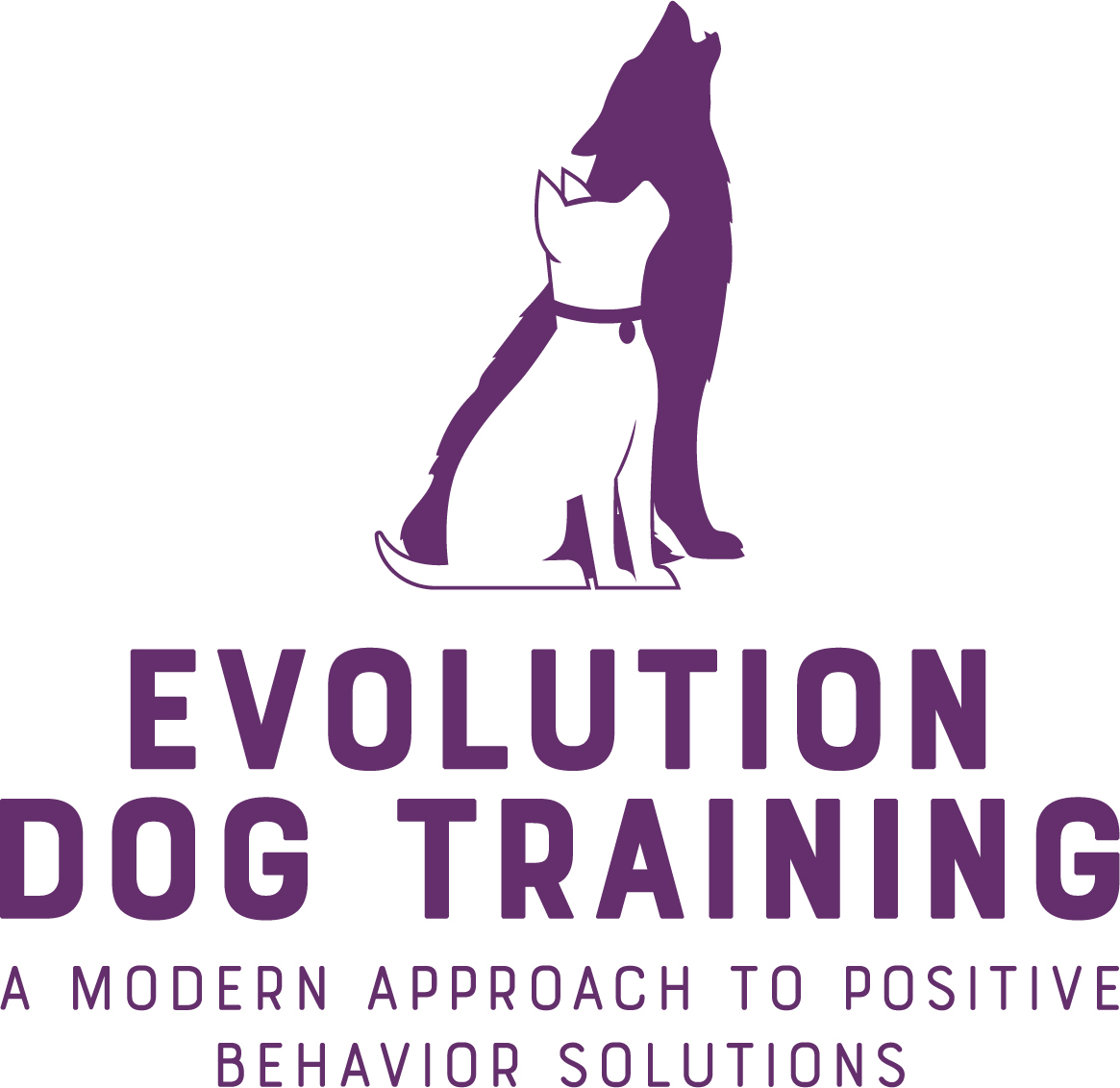 Evolution Dog Training