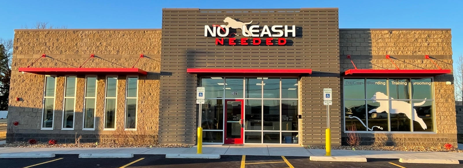 No Leash Needed