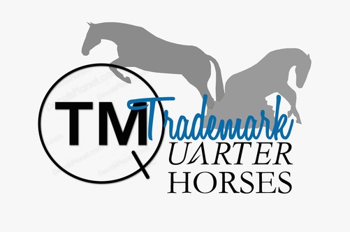Trademark Quarter Horses & K9