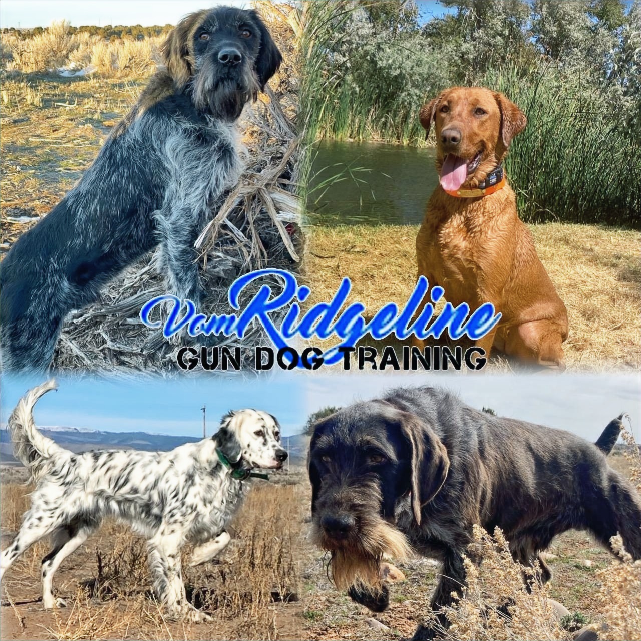 Vom Ridgeline llc.