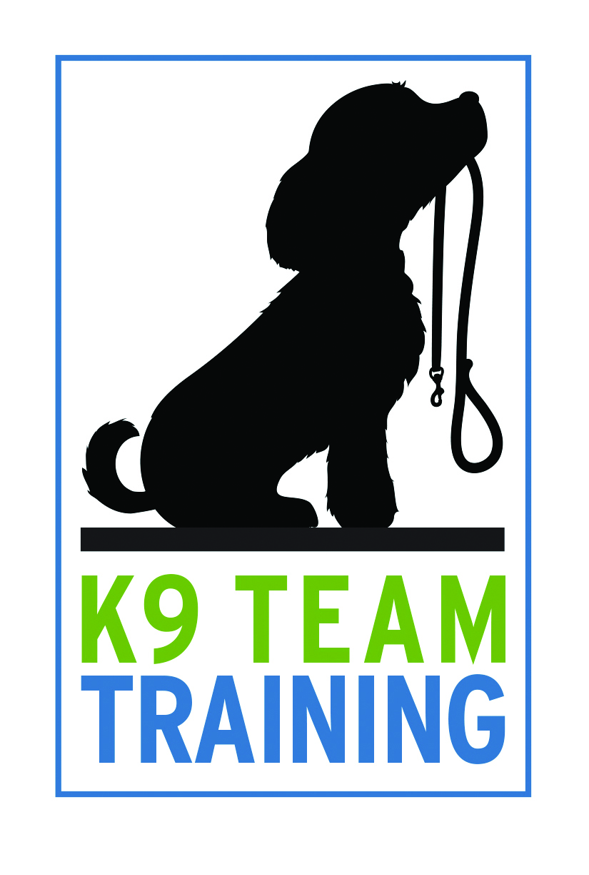 K9 Team Training