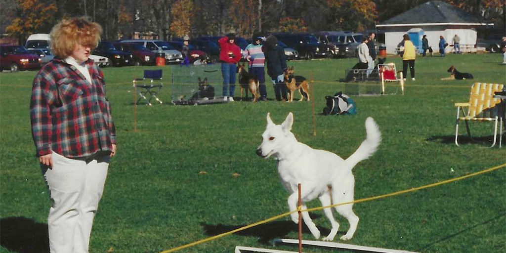 WannaBea Dogs