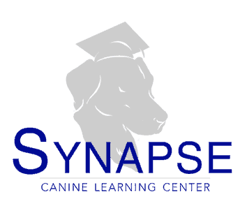 Synapse Canine Learning Center logo