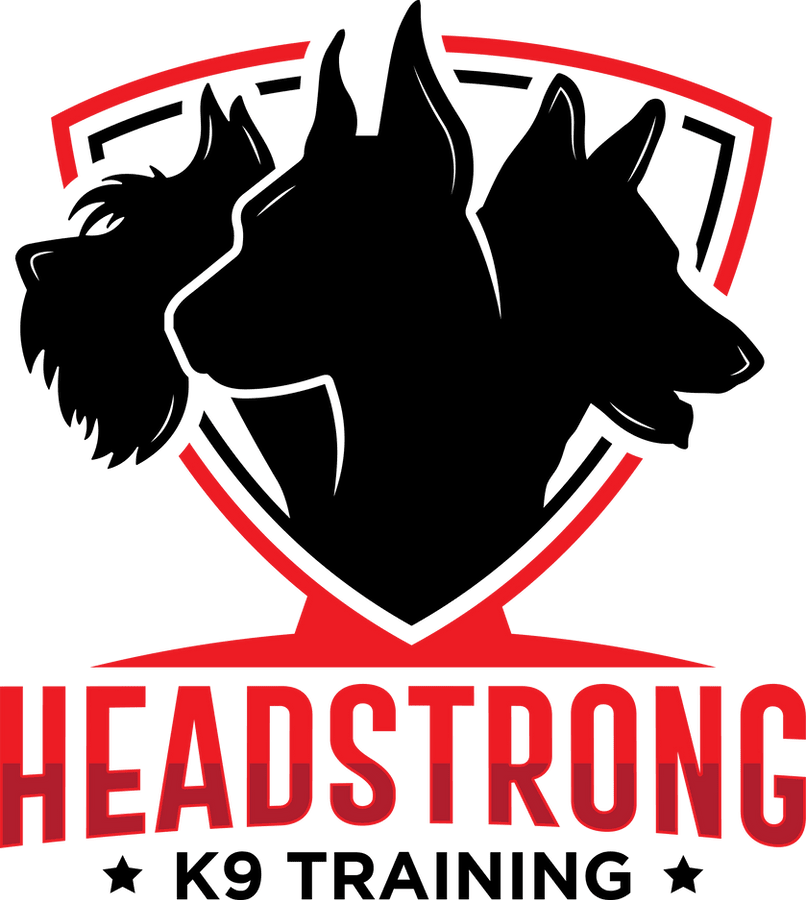 Headstrong K9 Training