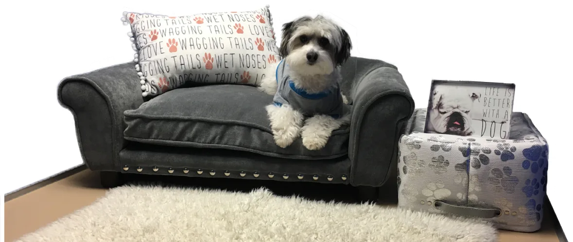 Top Dog Training and Resort