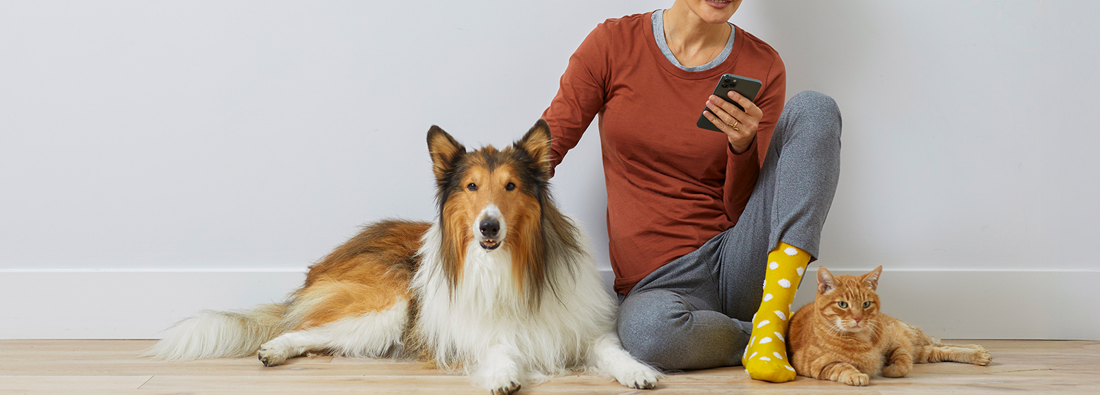 Petco Dog Training