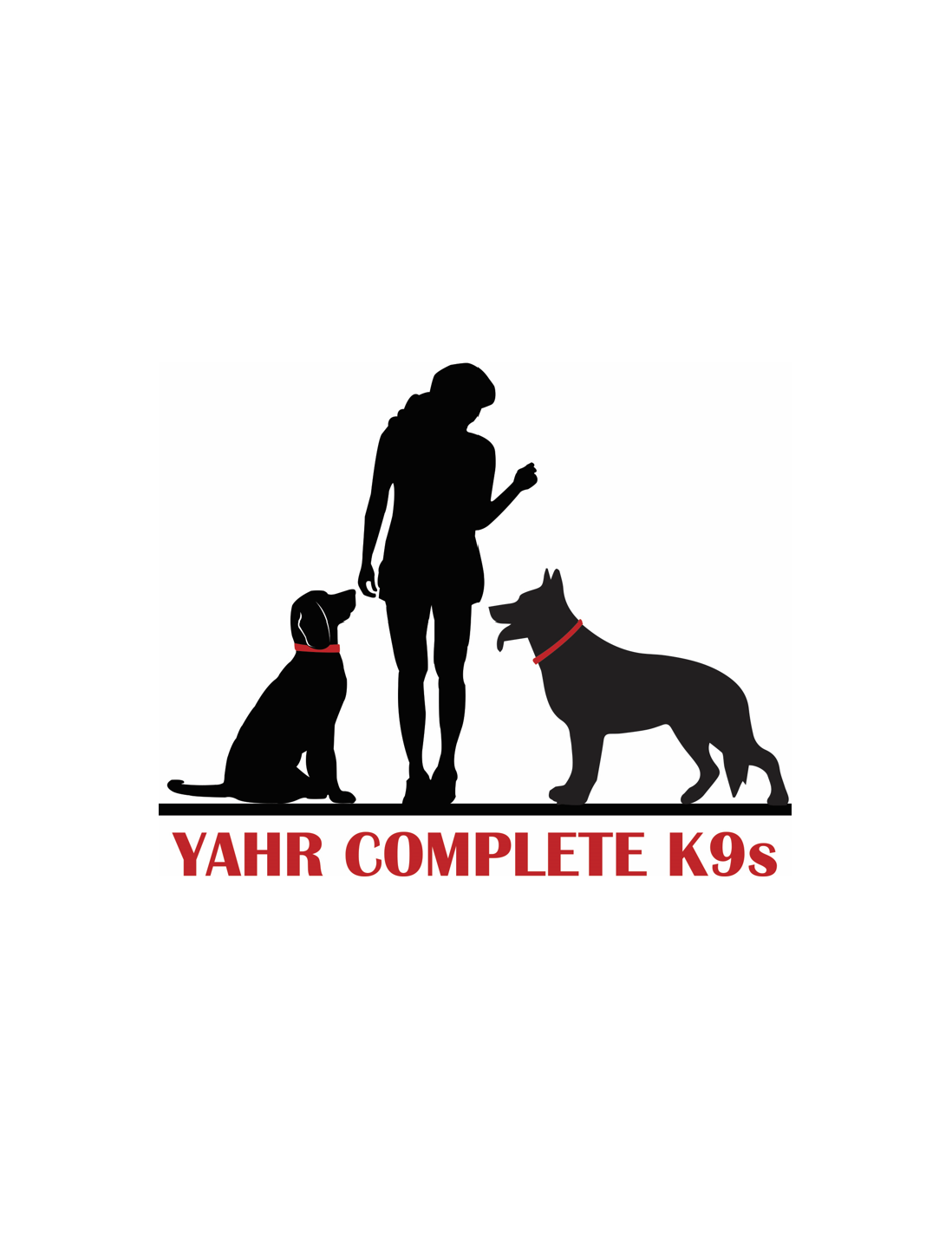 Yahr Complete K9s - Animal Training and Behavior — dog trainer in Appleton, WI