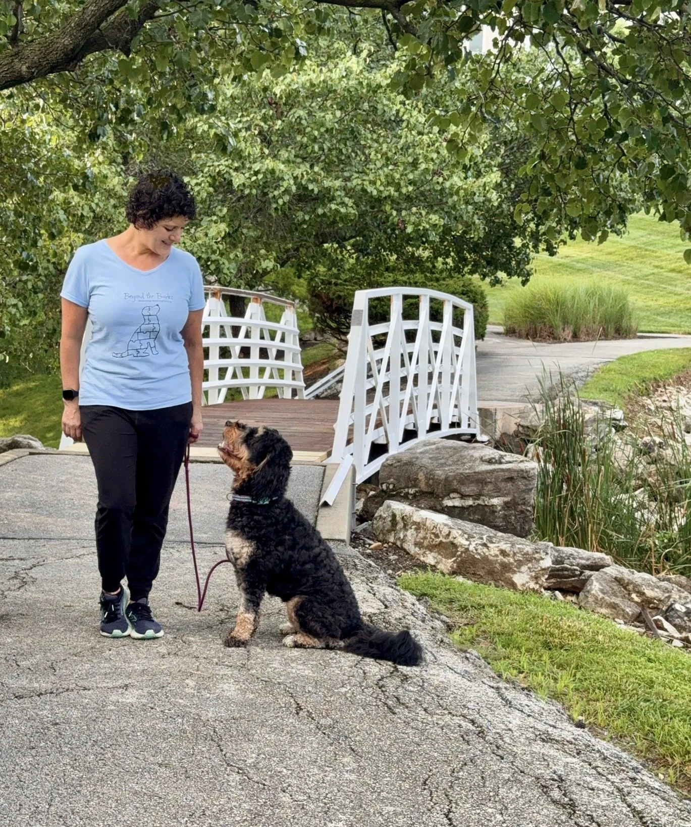 Beyond The Barks