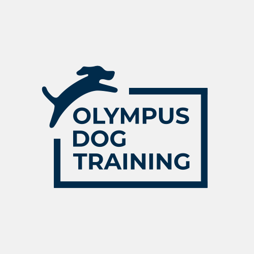 Olympus Dog Training