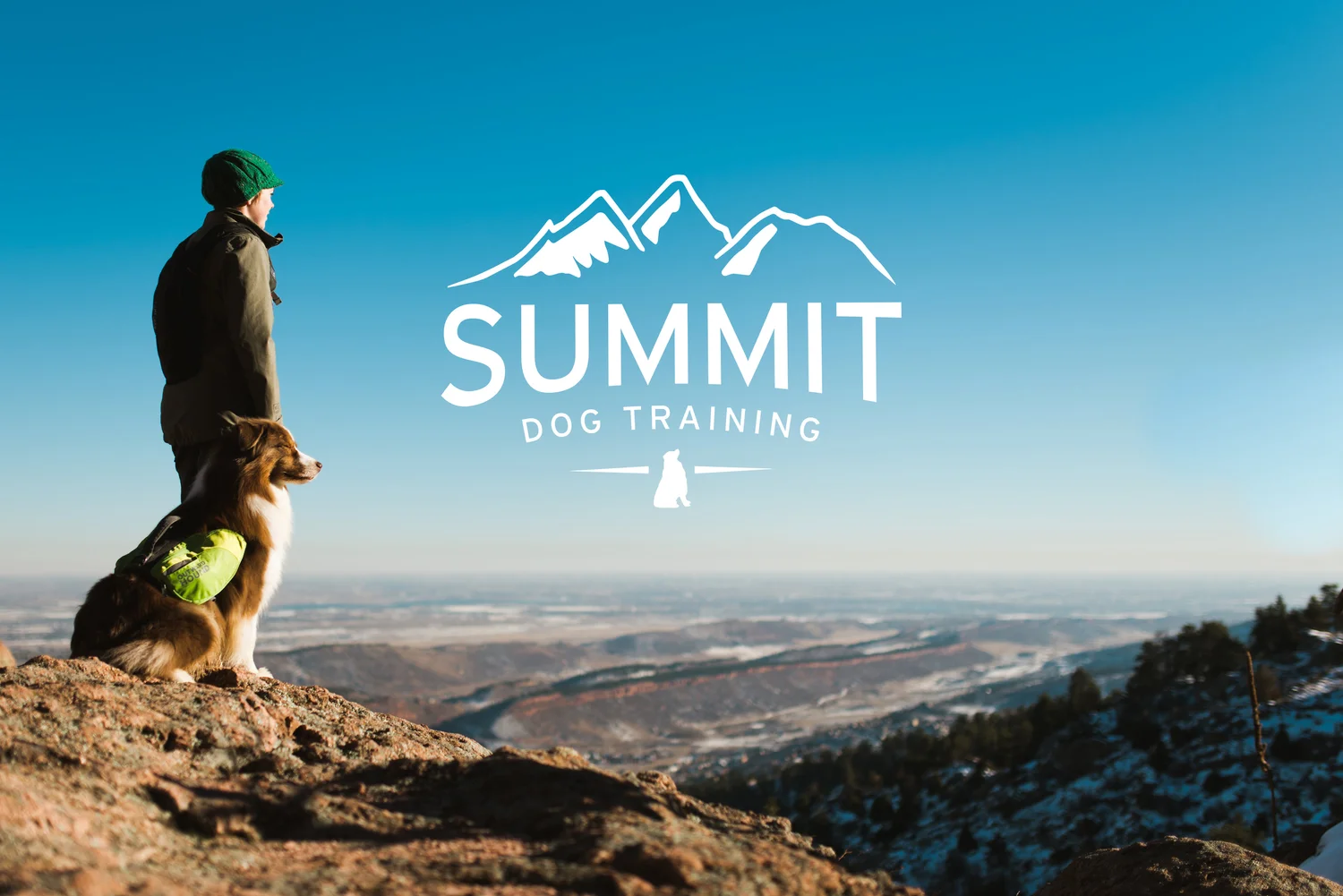 Summit Dog Training LLC logo