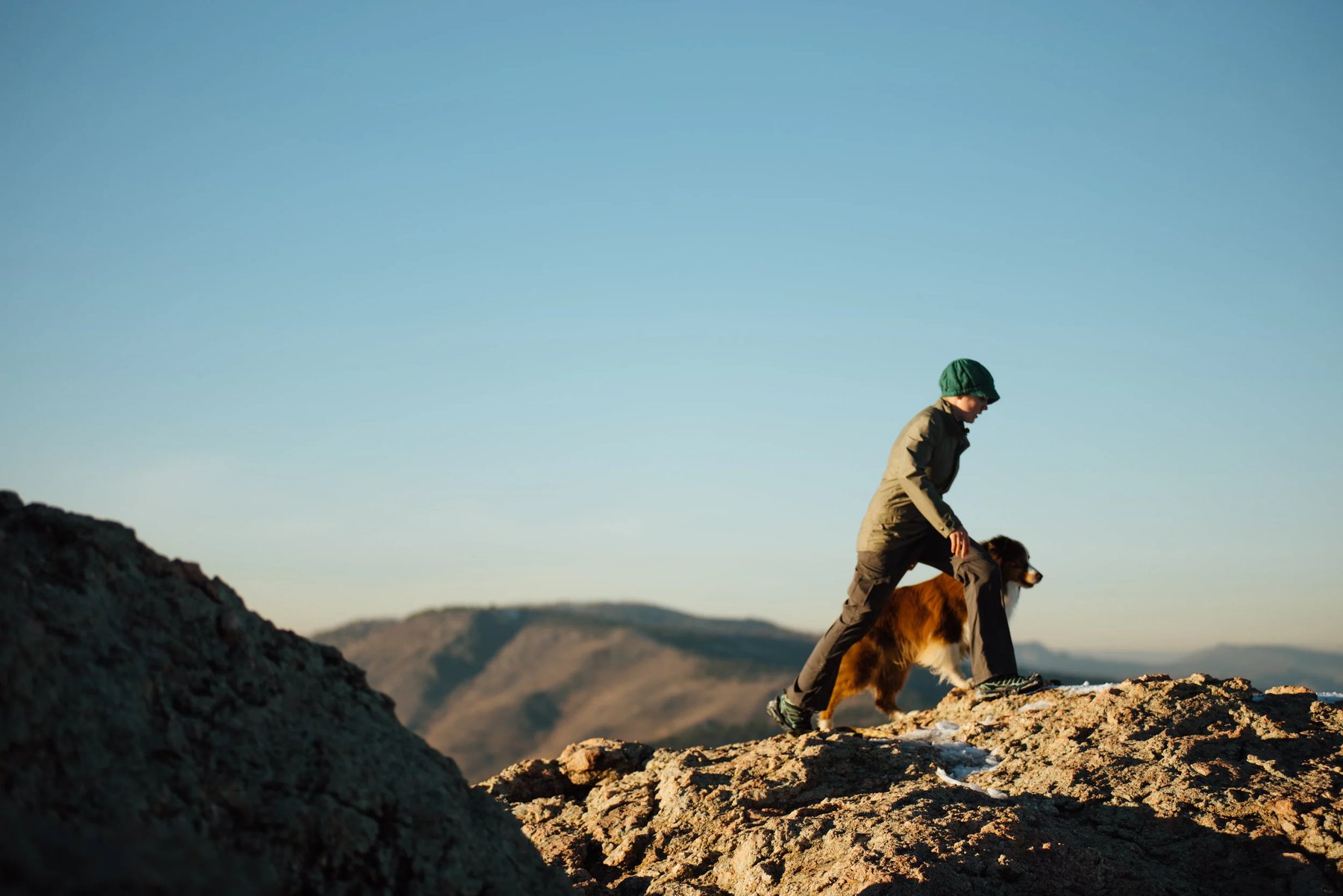 Summit Dog Training LLC
