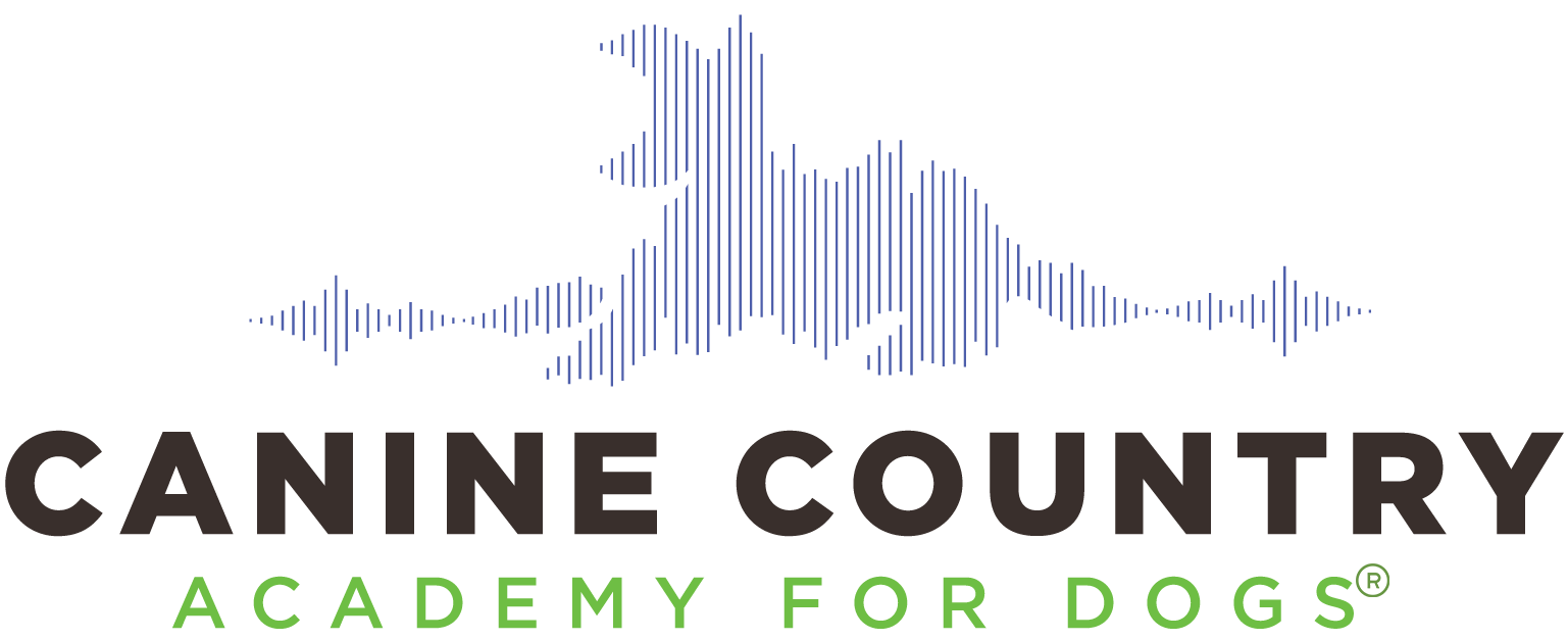 Canine Country Academy – Dog Training and Behavior Modification logo