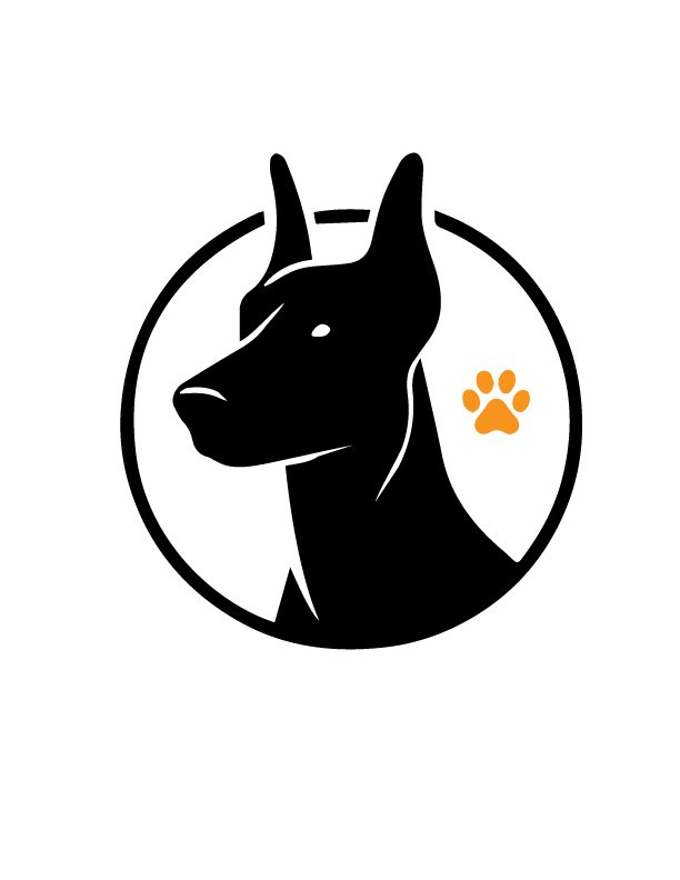 Steady Paw Dog Training