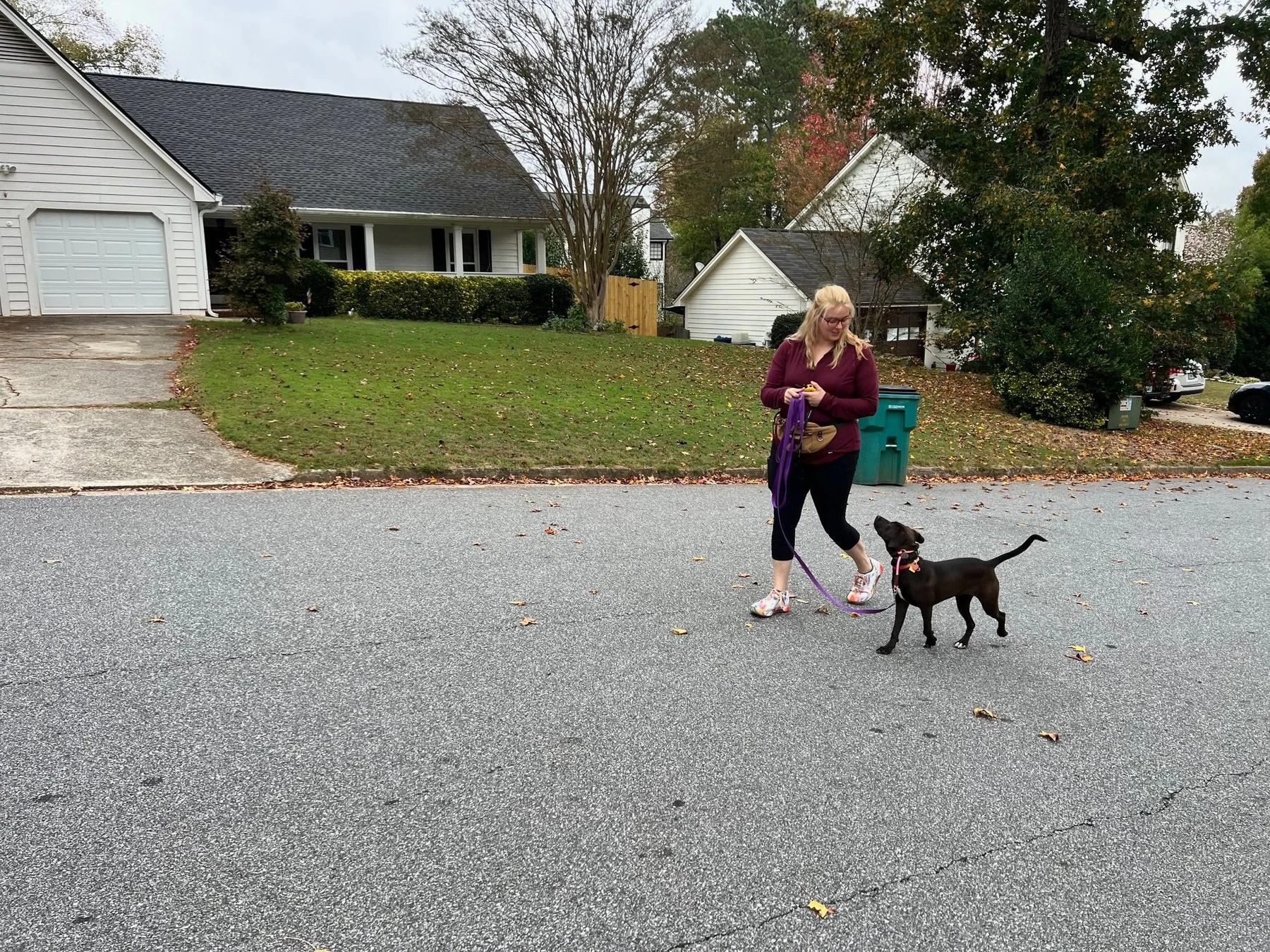 Good K9 Institute — dog trainer in South Metro Atlanta, GA