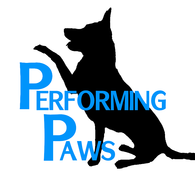 Performing Paws