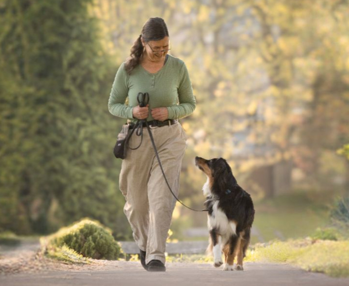Enjoyable Dogs — dog trainer in Lexington, KY