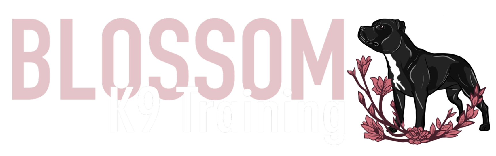 Blossom K9 Training logo