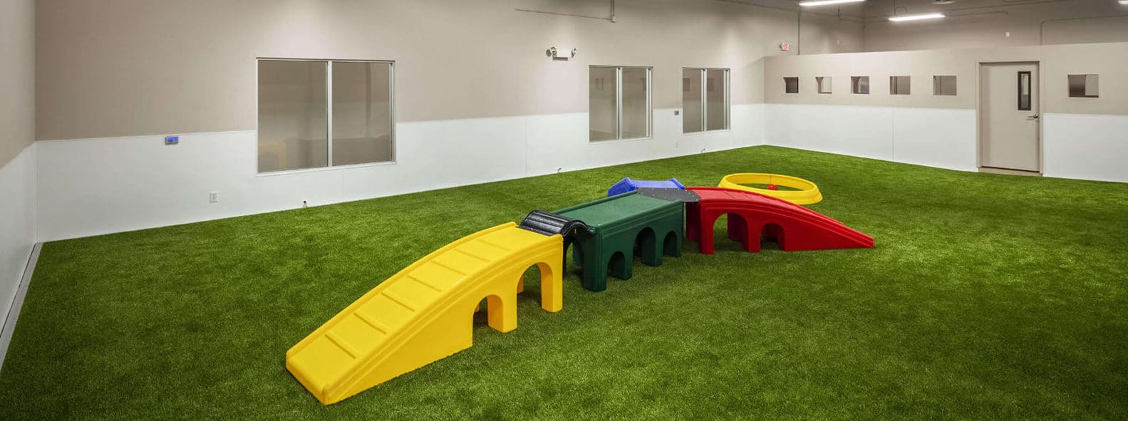 Henderson Pet Resort