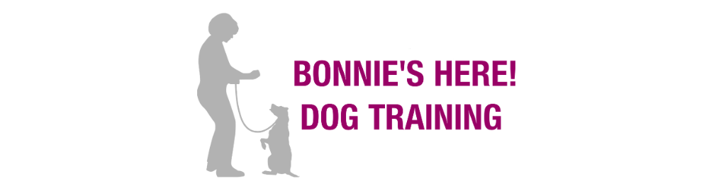 Dog Trainers Connection — dog trainer in Kingston, NY