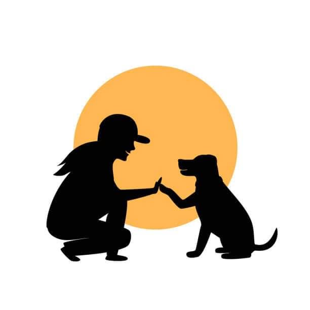 Hava Good Dog Training