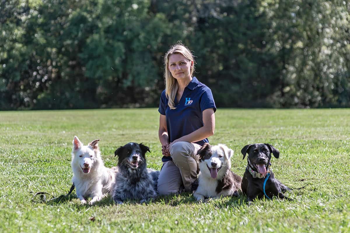 Highland Canine Training – Hickory