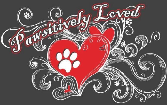 Pawsitively Loved Luxury Services (PLLS) logo