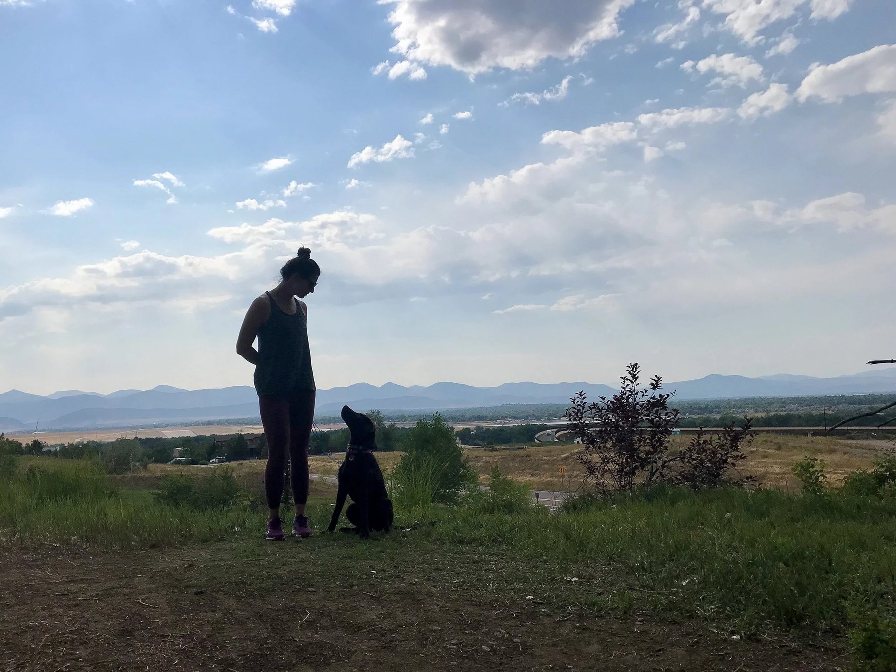 Meraki Dog Company
