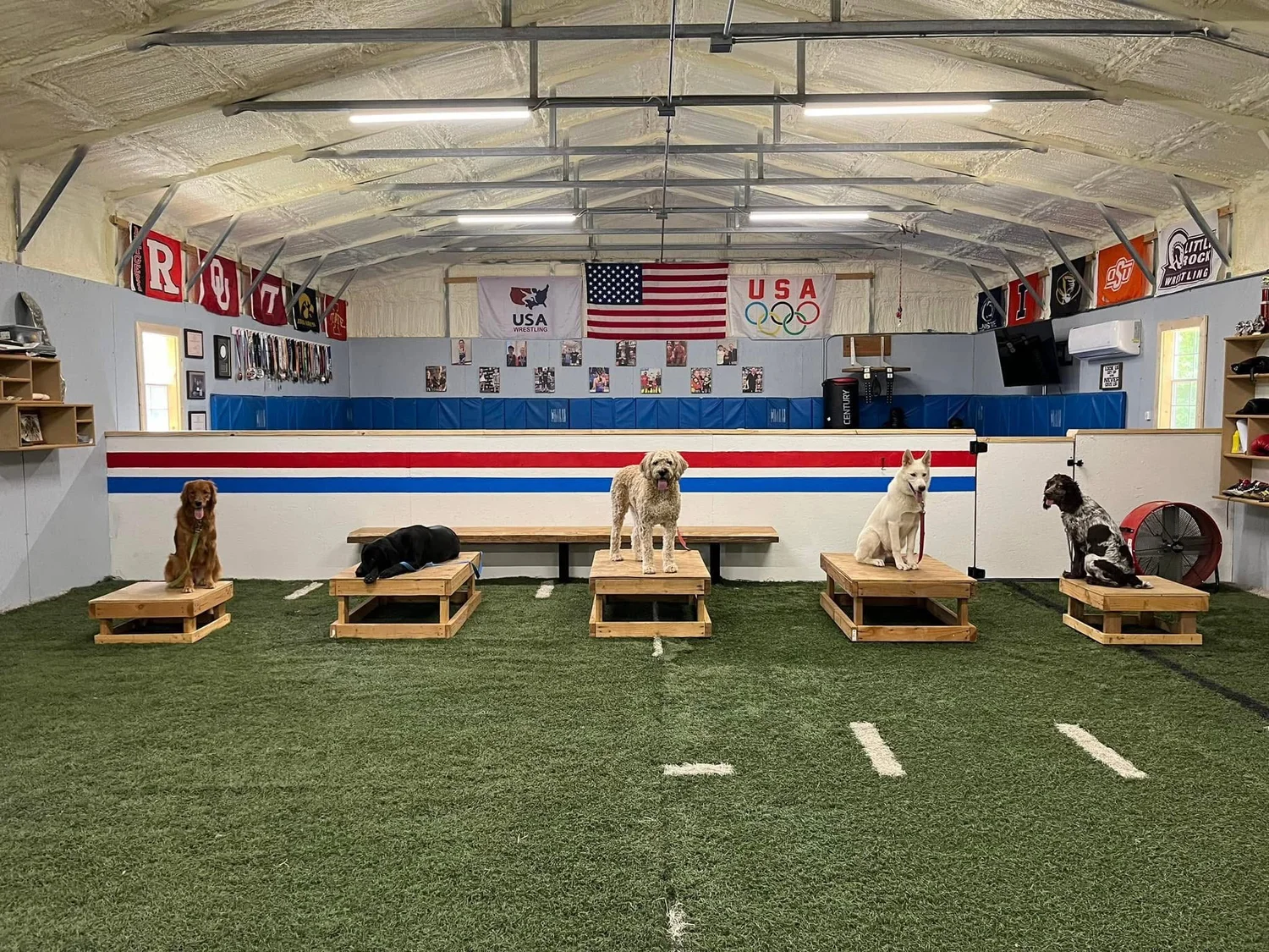 Ozark Canine Academy