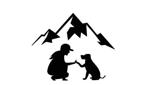 6 Paws Training Camp